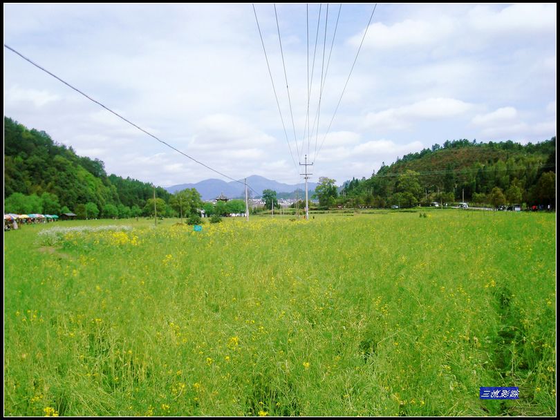 neo_img_dsc02251.jpg