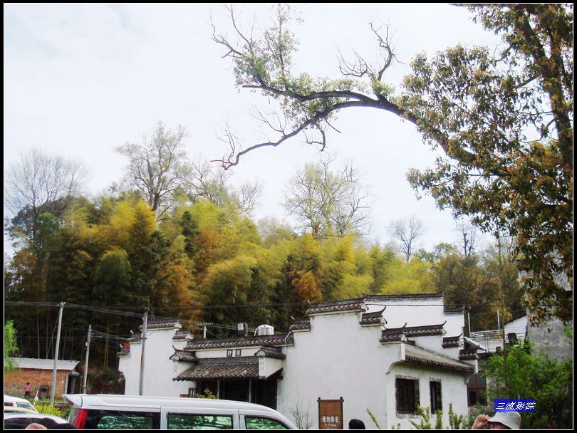 neo_img_dsc02258.jpg