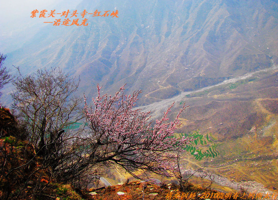 清明南太行之行2 191.jpg