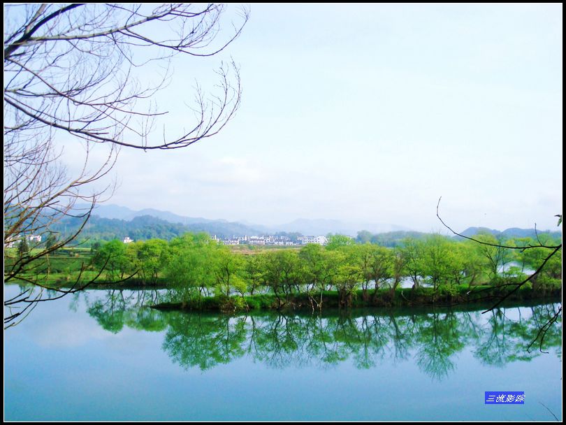 neo_img_dsc02118.jpg