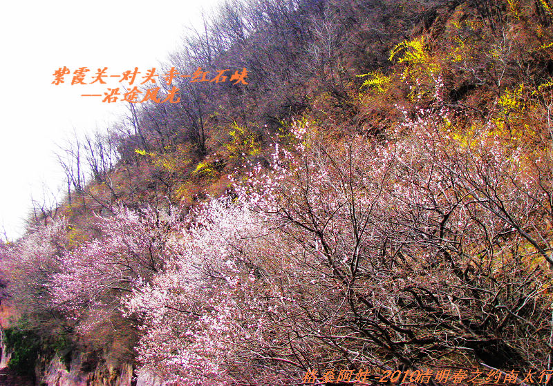 清明南太行之行2 213.jpg