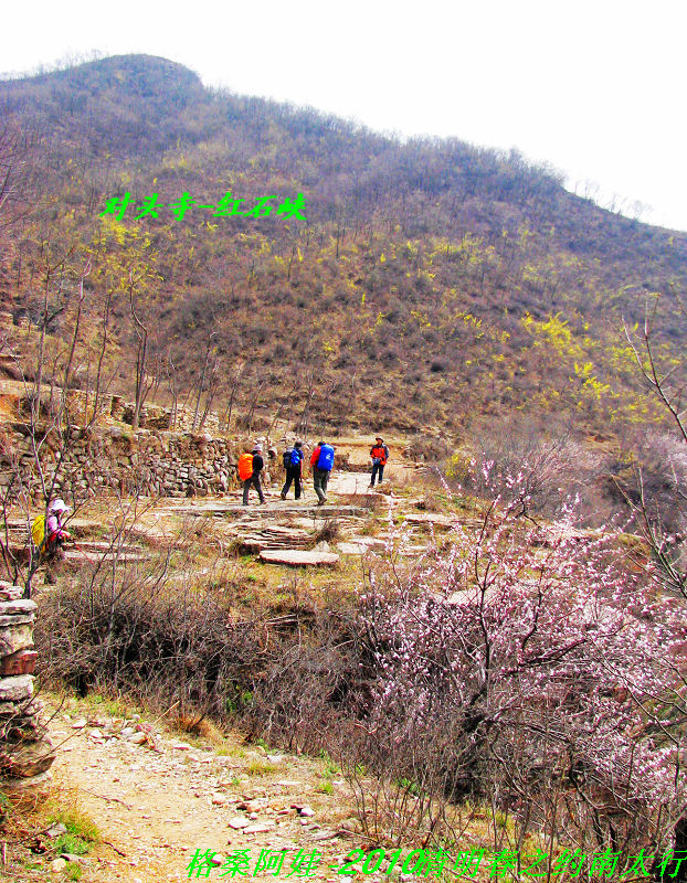 清明南太行之行2 180.jpg