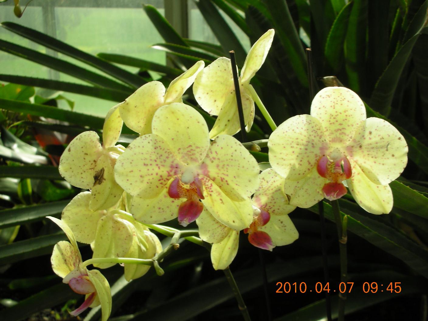 Ƭ 053.jpg