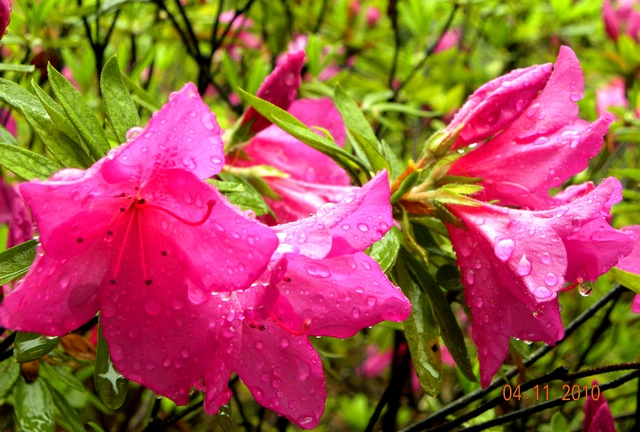 dscn0876_Ӱ_1.jpg