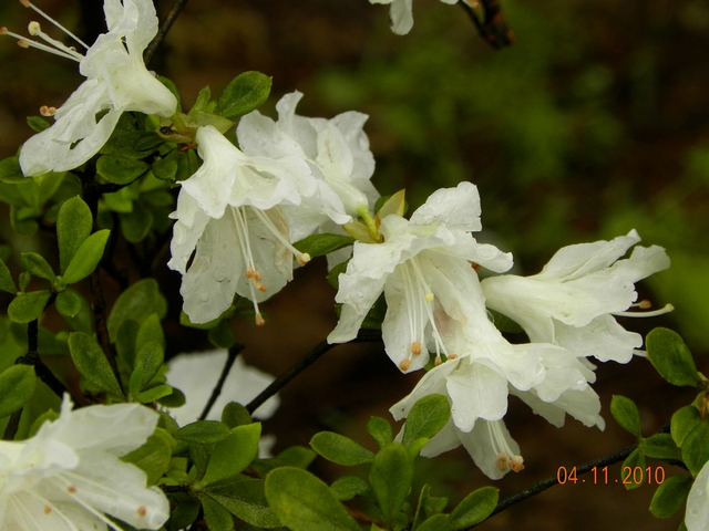 dscn0885_Ӱ_1.jpg