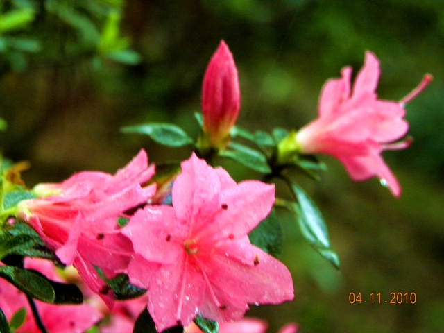 dscn0919_Ӱ_1.jpg