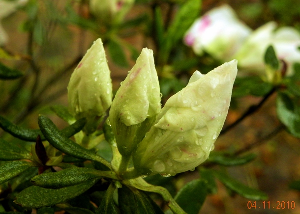 dscn0927_Ӱ_1.jpg