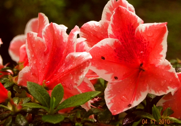dscn0913_Ӱ_1.jpg