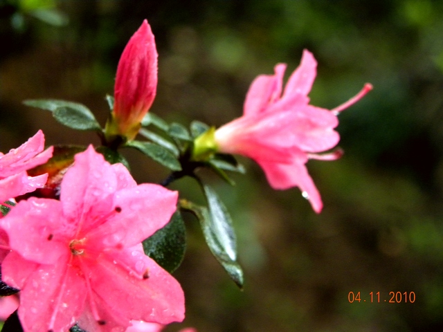 dscn0920_Ӱ_1.jpg