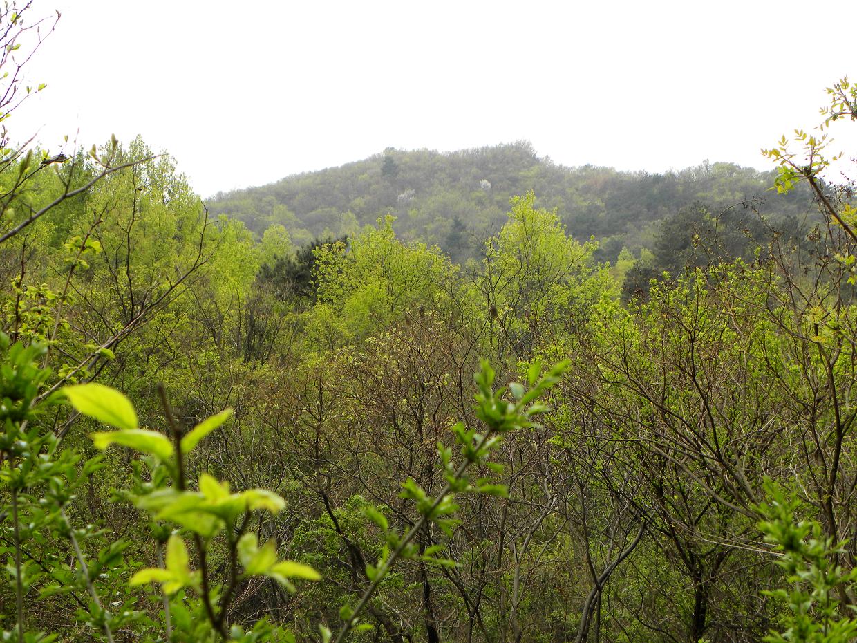 Ƭ 033.jpg