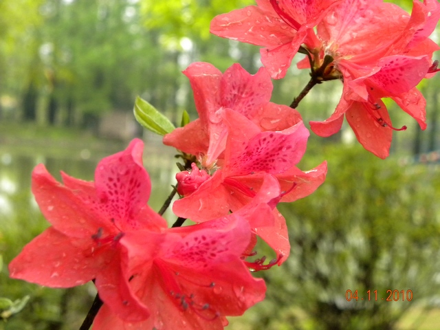 dscn0839_Ӱ_1.jpg
