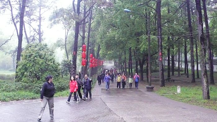 neo_img_l1070076.jpg
