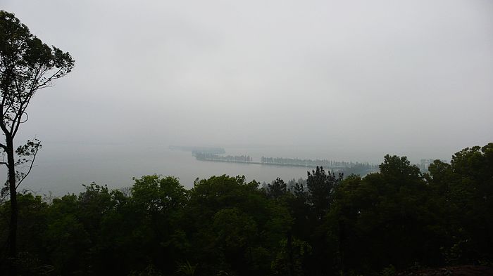 neo_img_l1070077.jpg