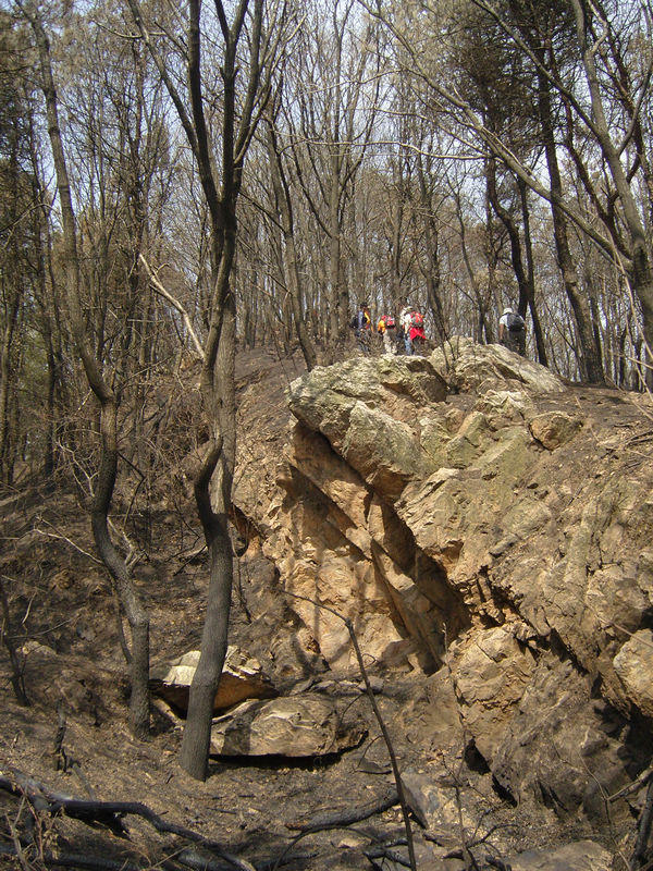  snc10041.jpg