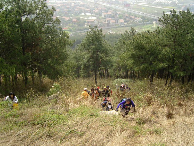  snc10011.jpg