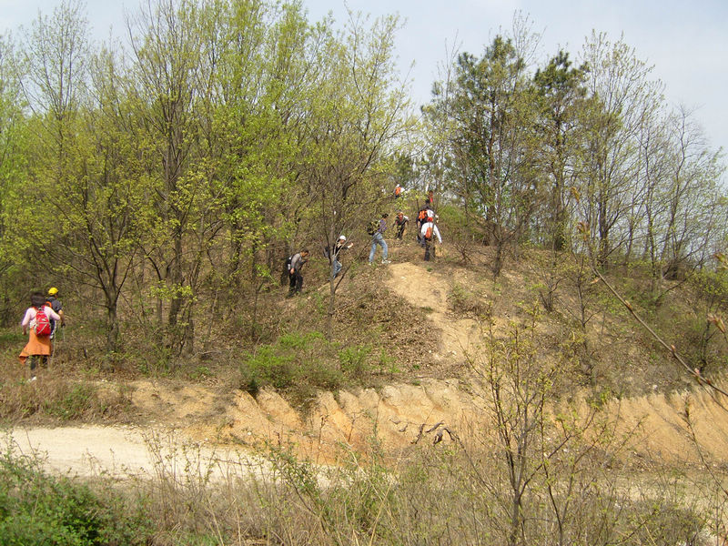  snc10032.jpg
