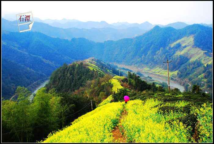 dsc_0060_Ӱ_2.jpg