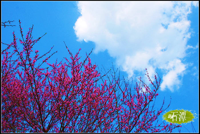 dsc_0386_Ӱ_2.jpg