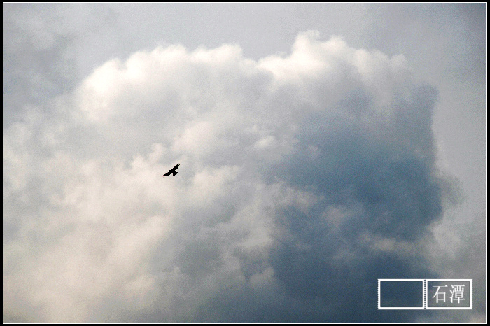 dsc_0114_Ӱ_2.jpg