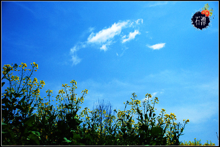 dsc_0234_Ӱ_2.jpg