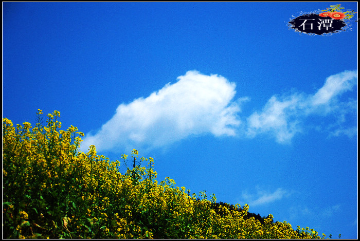 dsc_0297_Ӱ_2.jpg
