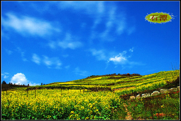 dsc_0347_Ӱ_2.jpg