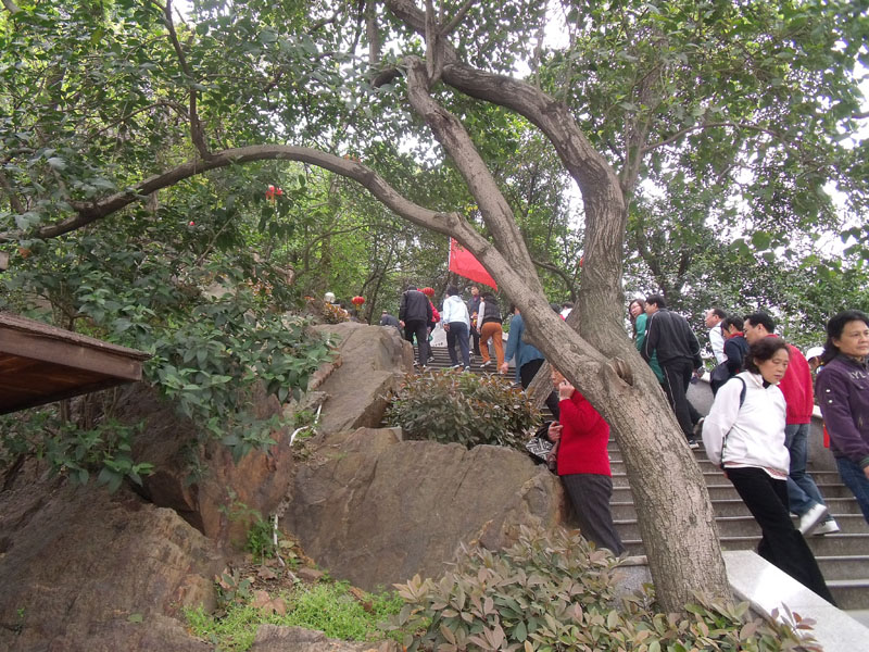 dscf2053.jpg