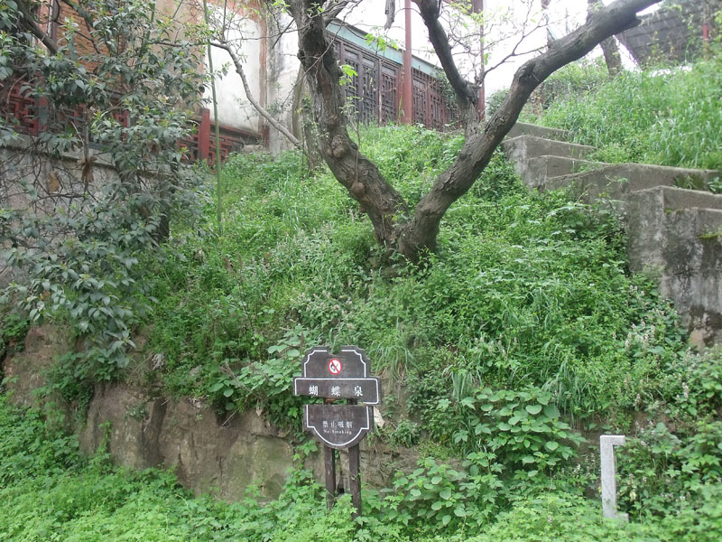 dscf2080.jpg