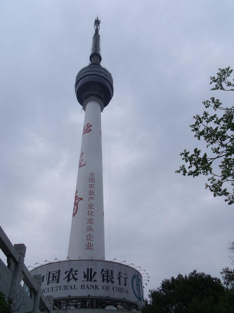 dscf2081.jpg