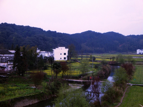 dsc00386.jpg