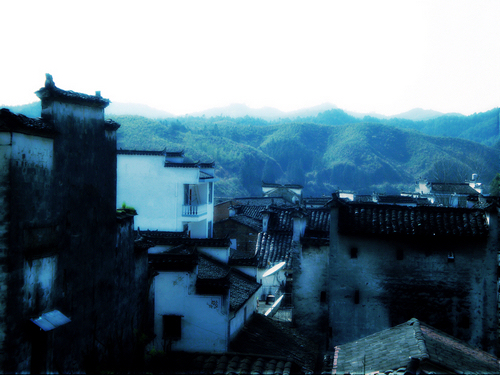 dsc00450.jpg