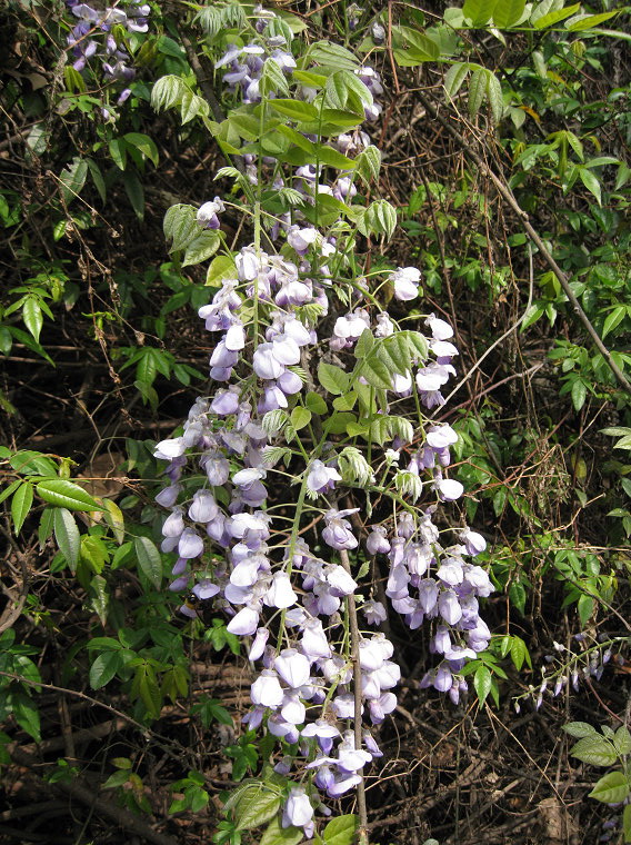 img_0421.jpg