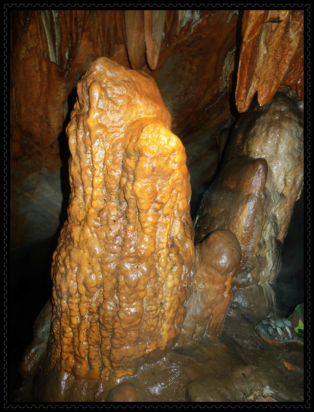 p1100677_Ӱ_1.jpg