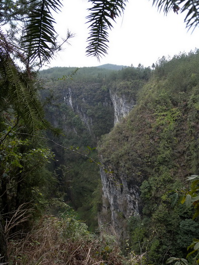 dscn1051.jpg111.jpg222.jpg