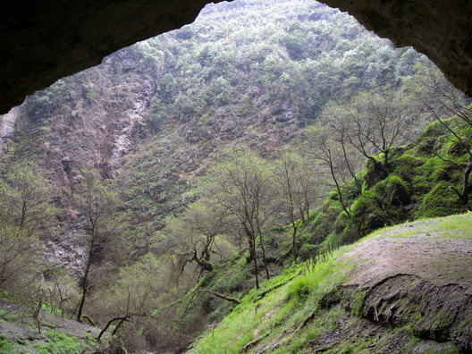 dscn1084.jpg111.jpg222.jpg