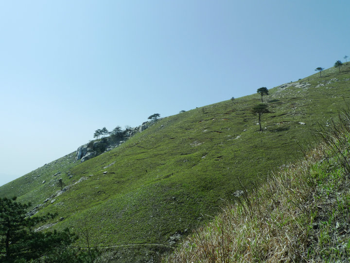 p1000366_.jpg