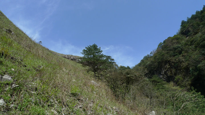 p1000354_.jpg