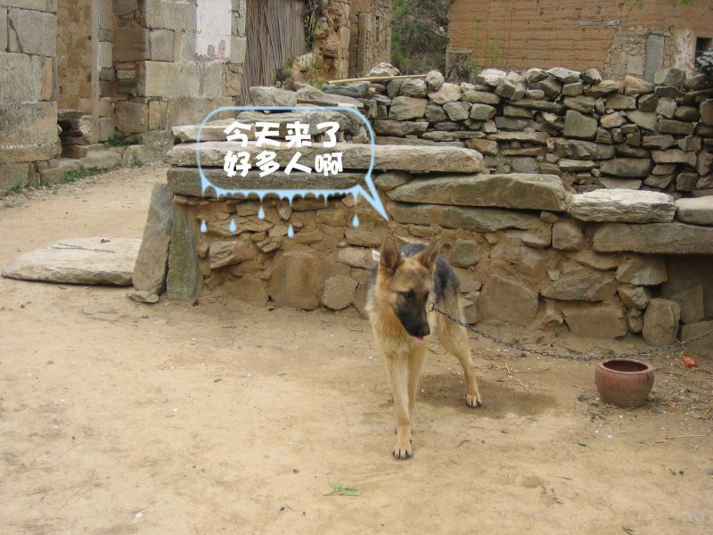 17.jpg