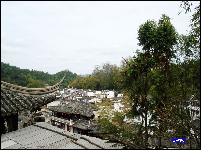neo_img_dsc02374.jpg