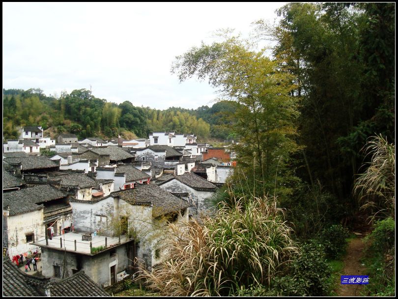 neo_img_dsc02386.jpg