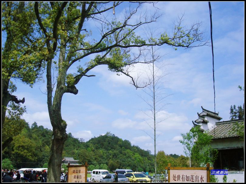 neo_img_dsc02463.jpg