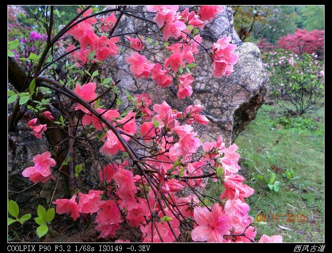 dscn0830_Ӱ_1.jpg