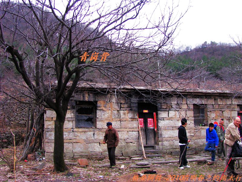 ̫֮2 494.jpg