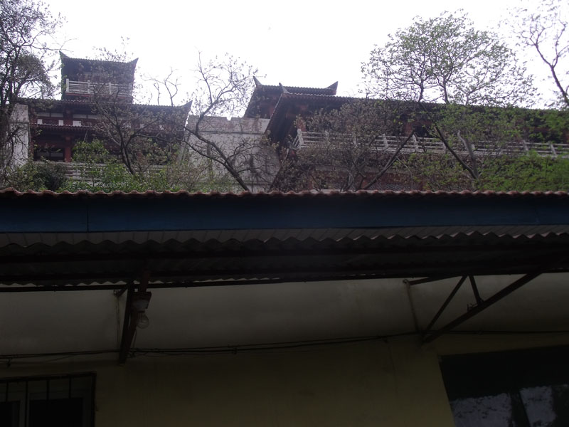 dscf2094.jpg