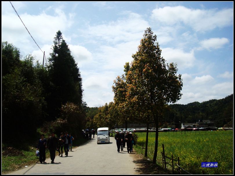 neo_img_dsc02479.jpg