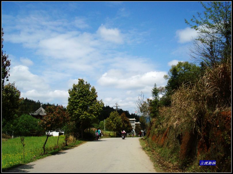 neo_img_dsc02490.jpg