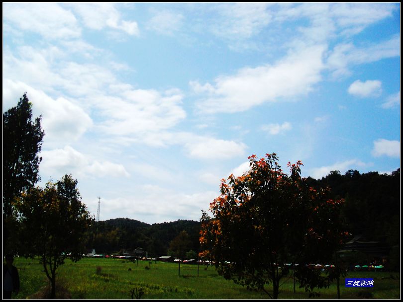 neo_img_dsc02491.jpg