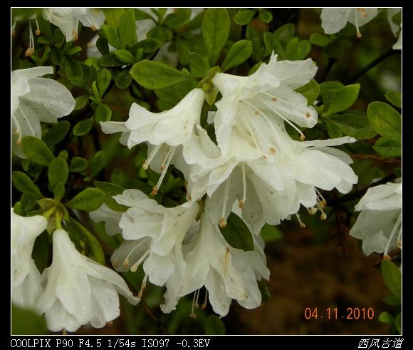 dscn0883_Ӱ_1.jpg