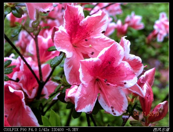dscn0912_Ӱ_1.jpg