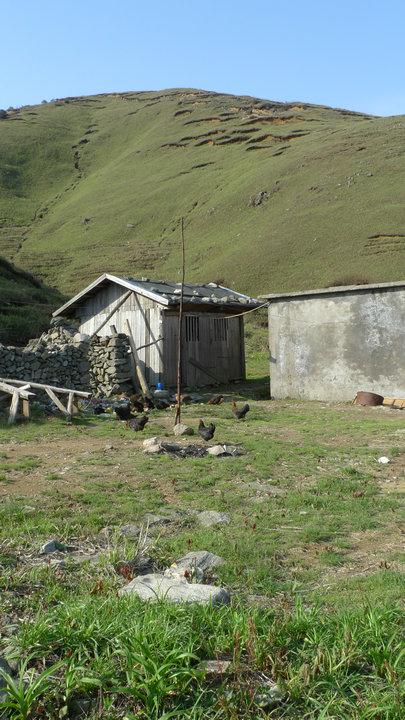 p1000400_.jpg
